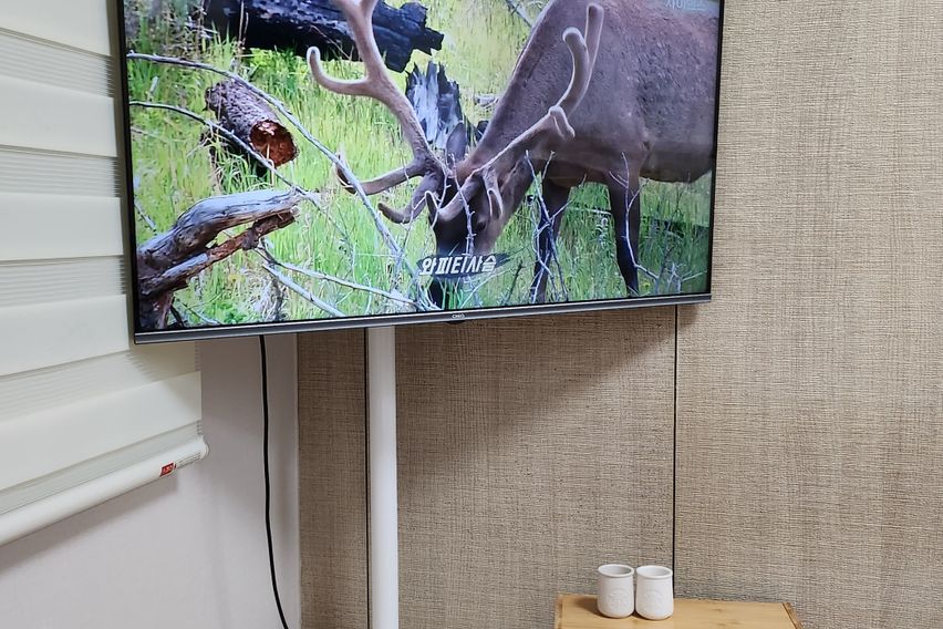 롯데월드 8호선올림픽