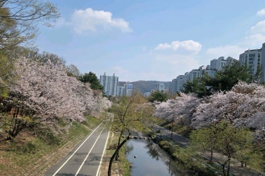 분당서현역 1분🦋아파트 11번째 이미지