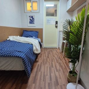 스탠다드4 0번째 이미지