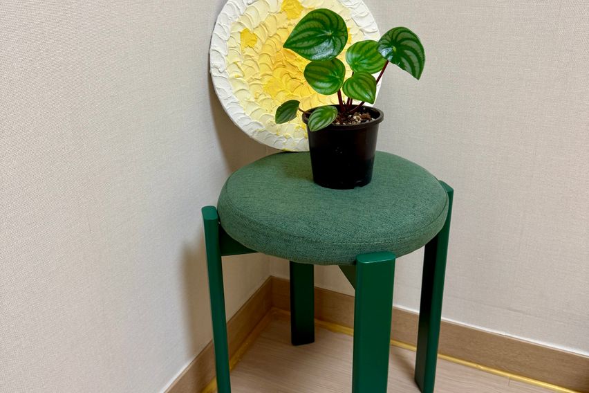 단독룸 풀옵션 여성전용