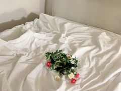 사당역5분거리독채투룸🎈 0번째 이미지