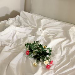 사당역5분거리독채투룸🎈 방 이미지