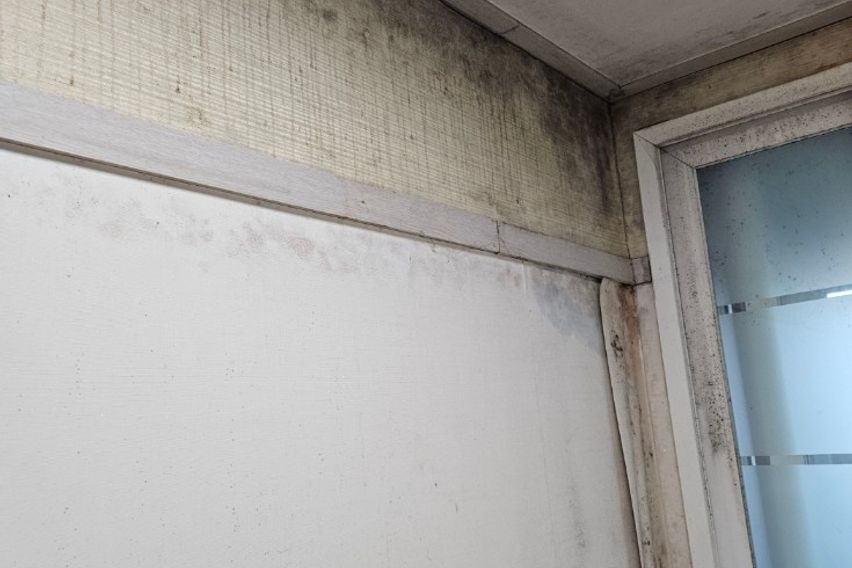 가성비 끝판왕 13번째 이미지