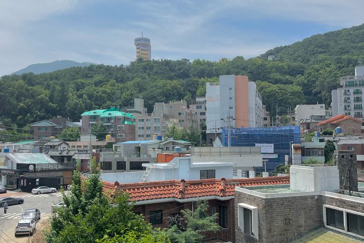 부산 서면 어린이대공원 4번째 이미지