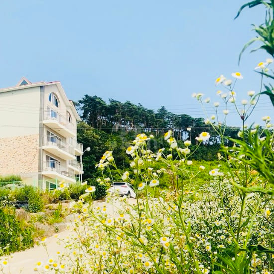 17-Pyeong Ocean View Unit (2nd Floor) – Bed 13th image