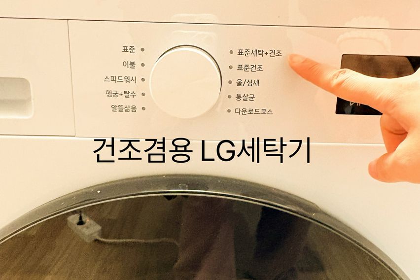 1층같은,신사역논현역 3번째 이미지