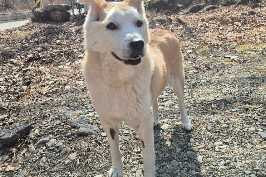 리모델링된 깨끗한 집 10번째 이미지