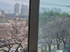 태화강국가정원 담긴집♧ 4번째 이미지