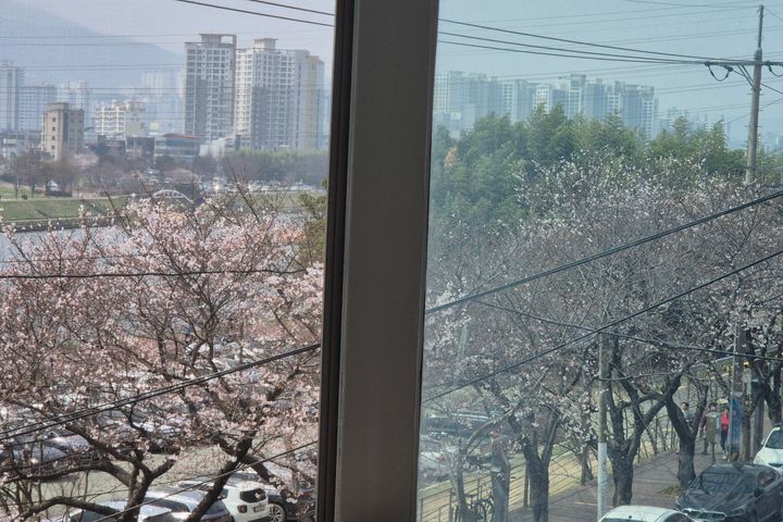 태화강국가정원 담긴집♧ 4번째 이미지