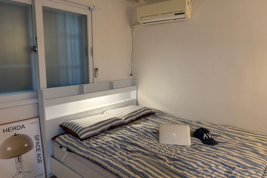 오픈특가🧸🎁건대•세종대