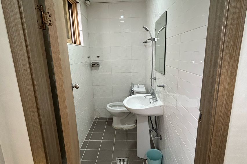 오드 스탠다드 301