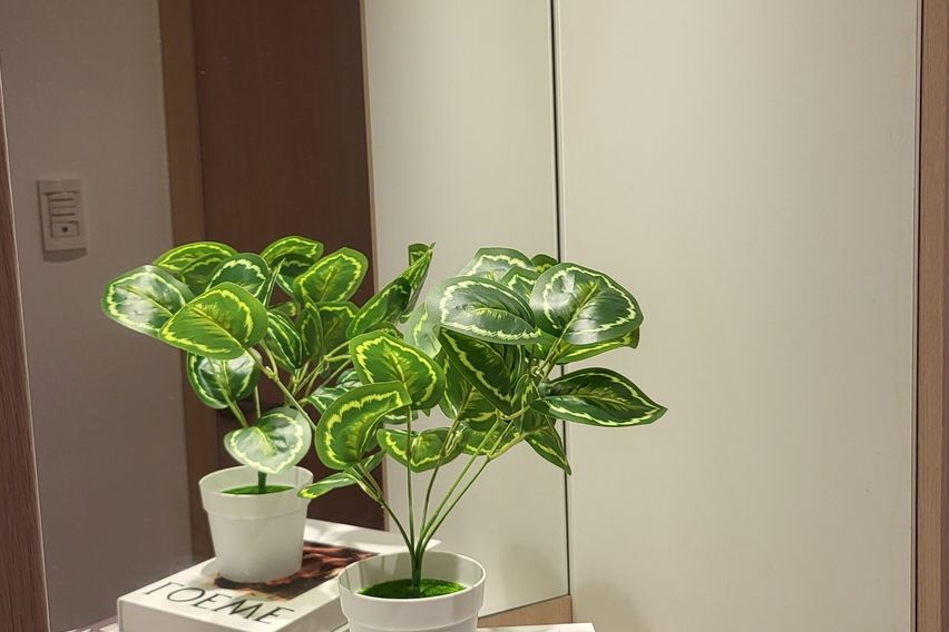 💛오리역🌈풀옵션특가 2번째 이미지