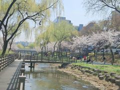 신축풀옵션아파트고층뷰 13번째 이미지