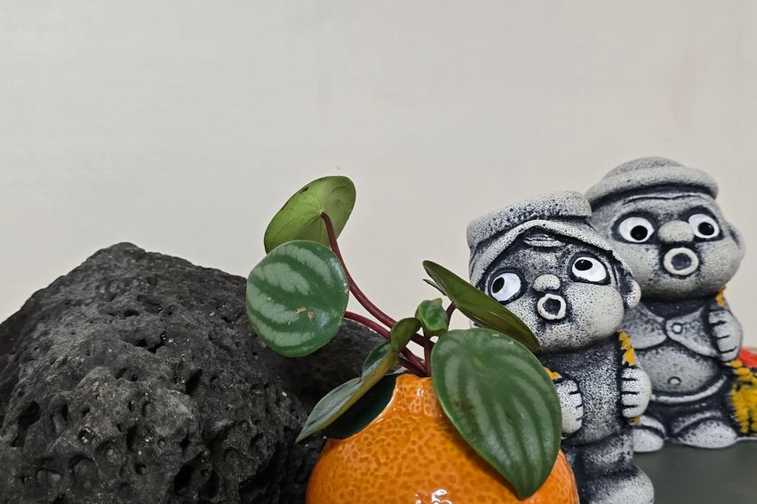 공항10분,해변10분