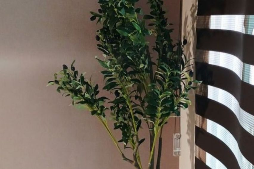 다산역🚈공원조용한🏡