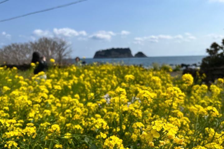 법환포구 돌담집 밖거리 17번째 이미지