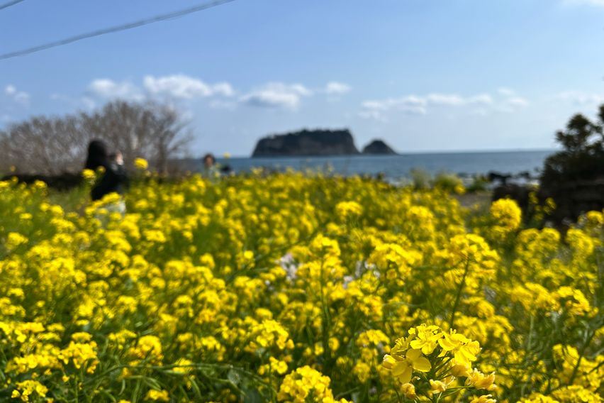 법환포구 돌담집 밖거리 17번째 이미지