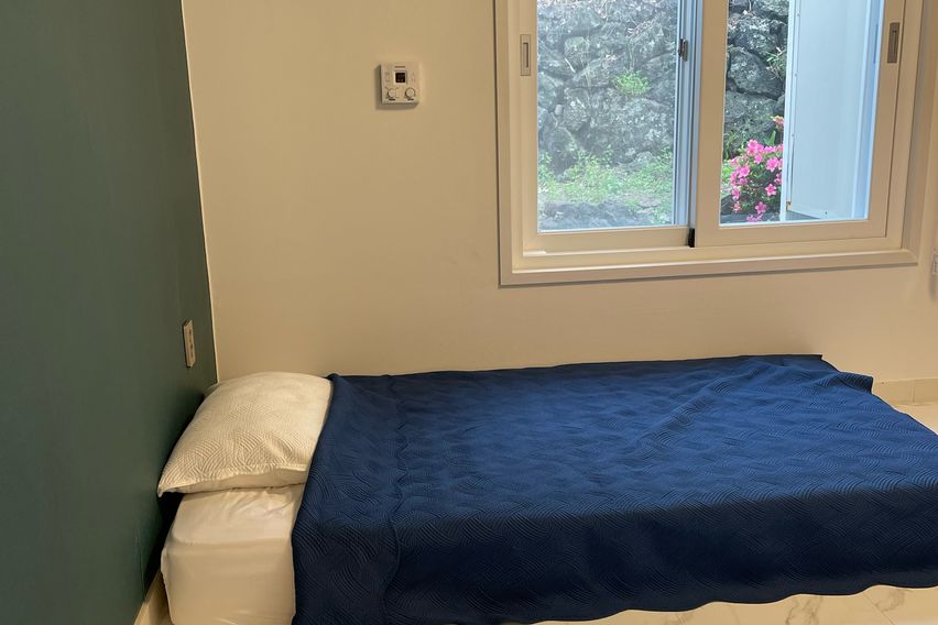 (제주시조천읍)제주돌담 9번째 이미지
