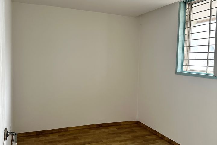 루피네 8번째 이미지