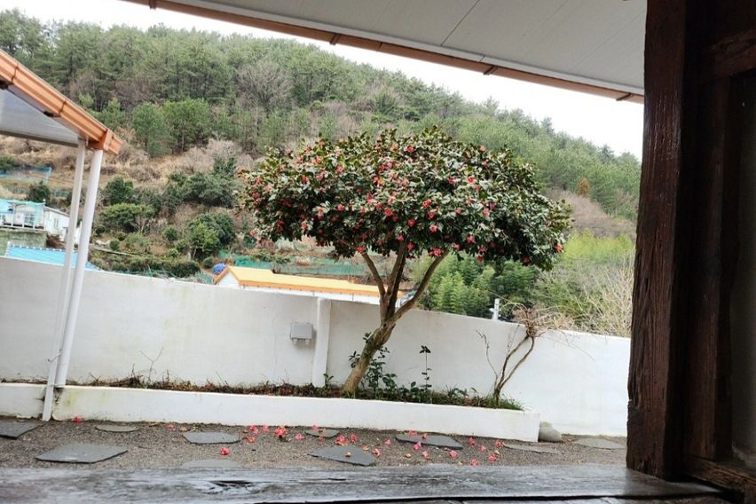 통영 산양읍 주택 10번째 이미지