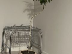 강릉 중심부 숙소 1 2번째 이미지