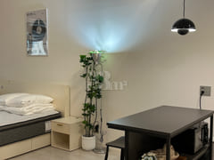 New Duplex with Dongtan Lake View 8th image