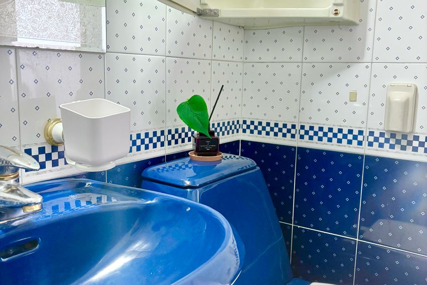 ✨샛강역2분/한정특가❗️