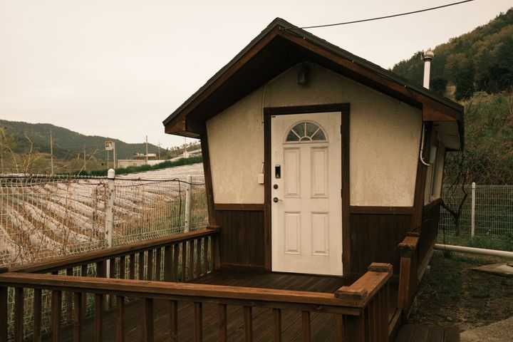 보성녹차바다 12번째 이미지