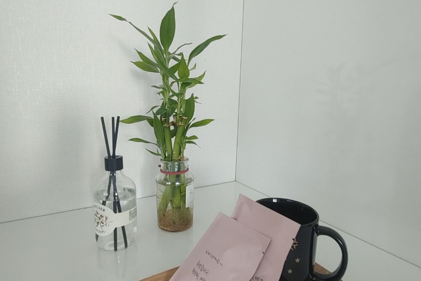 유성구 전민 출장여행