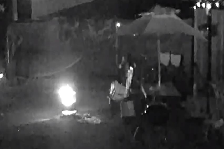 40평독채애견동반촌캉스