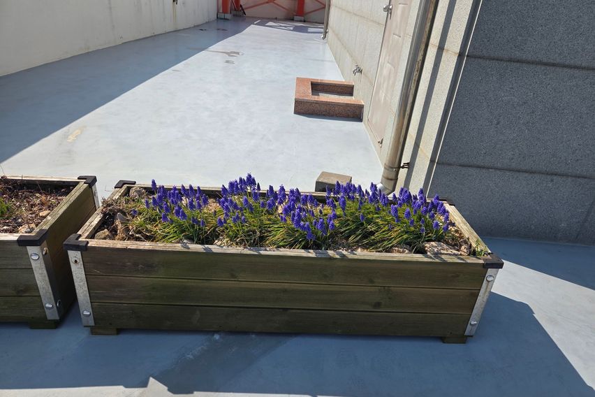 넓고 쾌적하고 조용한집 6번째 이미지