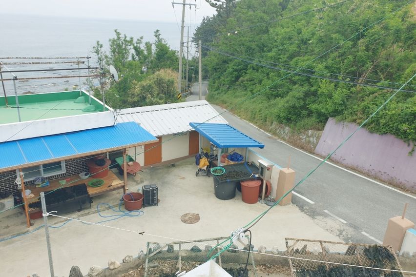 언덕위에 바다풍경 1번째 이미지