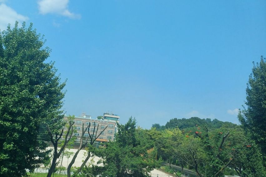 방2칸 독채 오금역3분