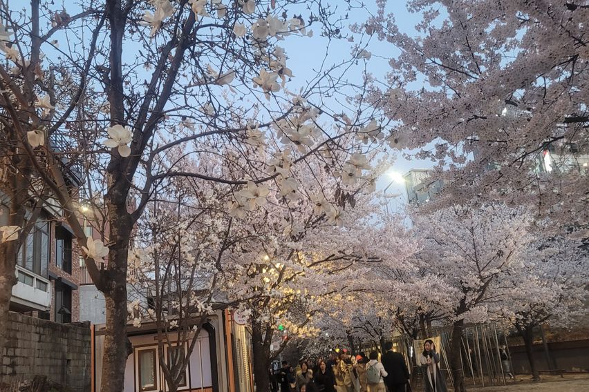 홍대역 1.5룸 202 19번째 이미지
