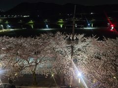 태화강3층더블1싱글2 14번째 이미지