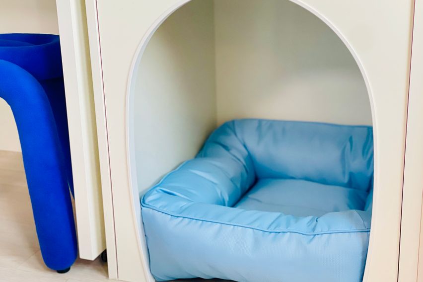 펫 친화적 신축 오피🐶