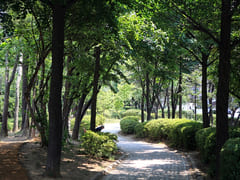 Line 7 Station Area: 4 Restaurants with a Vie 12th image