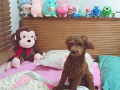 만년동 #풀옵션190a 1번째 이미지
