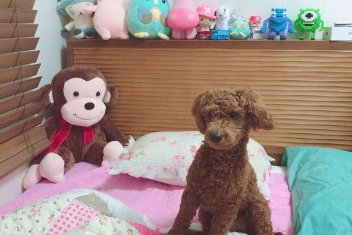 만년동 #풀옵션190a 1번째 이미지