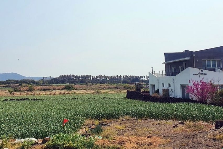 산방산 돌담_달무리 14번째 이미지