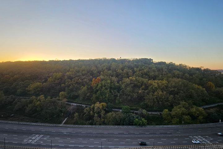 Fully-furnished Studio with a View 14th image