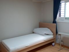 해바라기 4번째 이미지