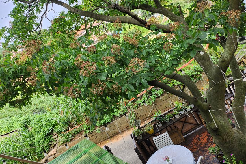 강화.  펜션. 안드로