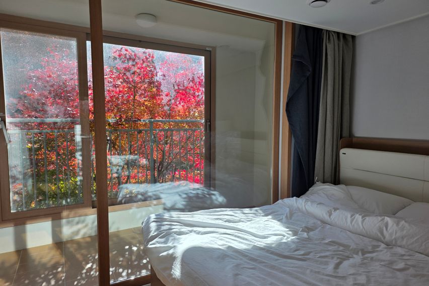 힐링스테이 코알라