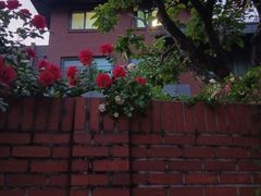 Jongno, Buam-dong, beautiful yard, forest-vie 1th image