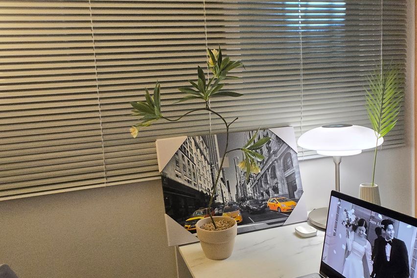 PH수지🤍분당광교상현