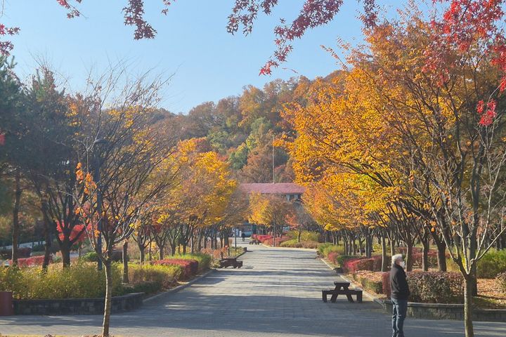 [외국인여성전용] 5번째 이미지