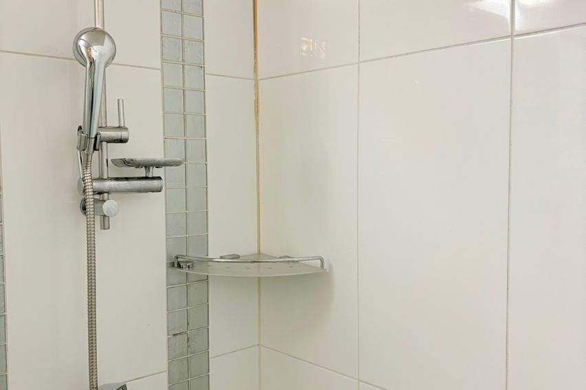 🎁백석 머물기 좋은곳