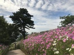광화문 서대문 개인룸 7번째 이미지