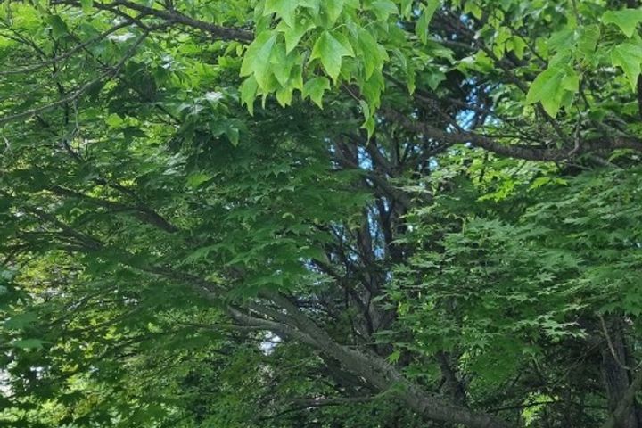 숲세권에서 힐링을 🌿 3번째 이미지